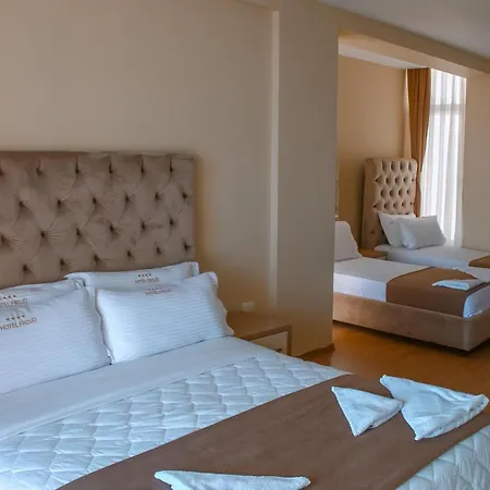 Frojd - Front Shëngjin