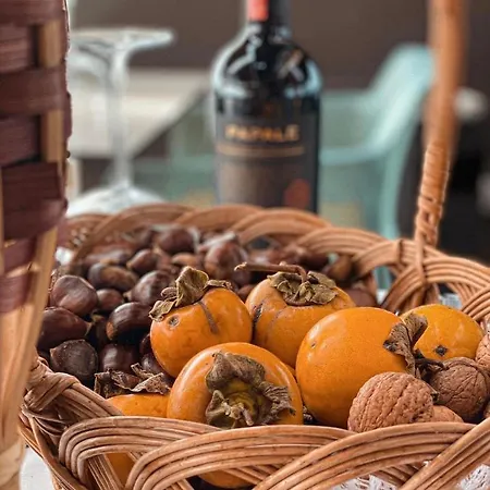 Frojd - Front מלון 4*