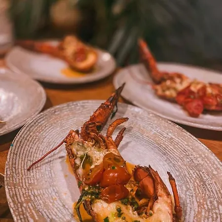 Frojd - Front Szálloda Shëngjin