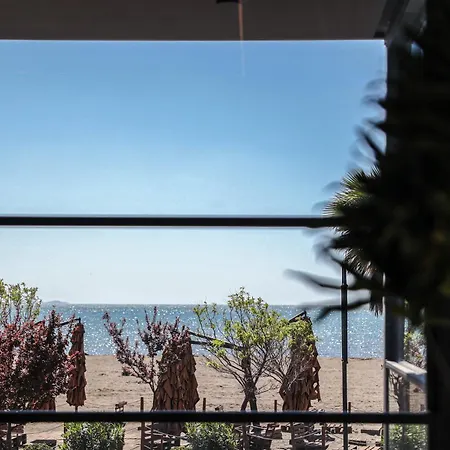 Frojd - Front 4* Shëngjin