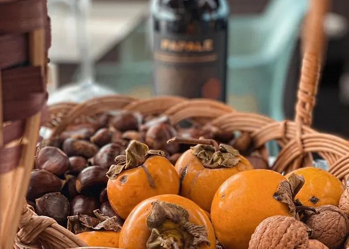 Frojd - Front 酒店 4*