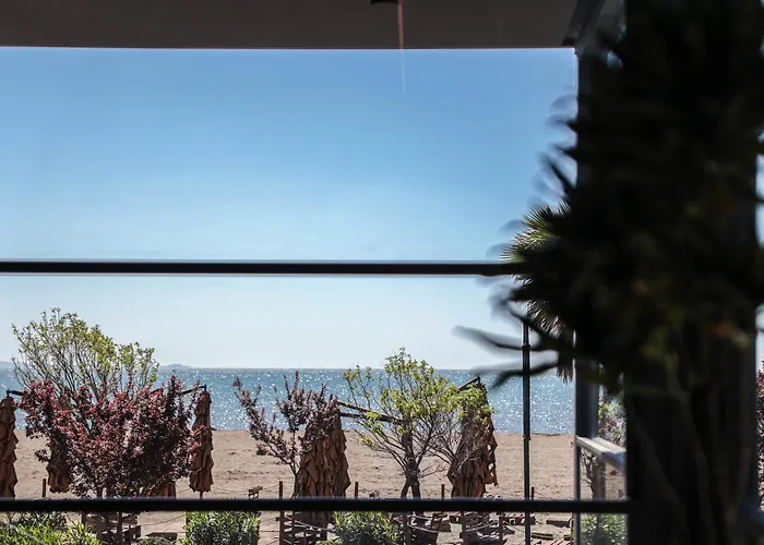 Frojd - Front 4* Shëngjin